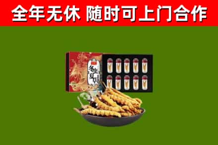 桃山回收冬虫夏草价格
